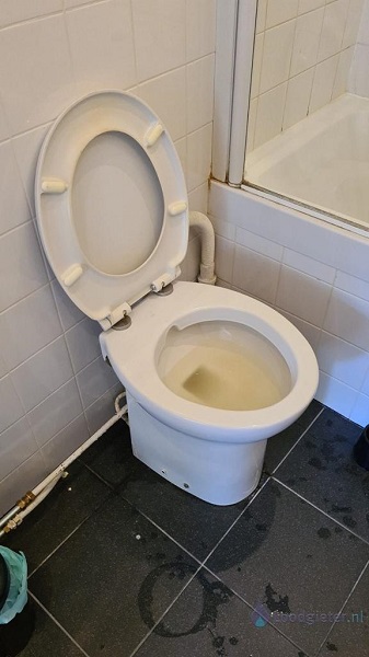  verstopping toilet Vaassen